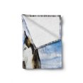 thumbnail image 2 of Alaskan Malamute Soft Flannel Fleece Blanket, Chukchi Husky Breed Dog on Snow Covered Rural Winter Landscape, Cozy Plush for Indoor and Outdoor Use, 50" x 60", Black White Pale Blue, by Ambesonne, 2 of 6