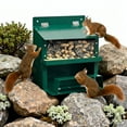 thumbnail image 6 of Product Category Automatic Feeders Squirrel Table Metal Feeder for Outdoor Nature Observation and Patio Use, 6 of 7