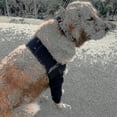 thumbnail image 3 of Breathable Dog Elbow Brace Protector Pads For Canine Elbow And Shoulder Support Elbow Hygroma, Dysplasia, Osteoarthritis, 3 of 4