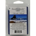 thumbnail image 2 of Scent Sationals Scts Coastal Arcadia Beach Fragrance Cub, 2 of 3