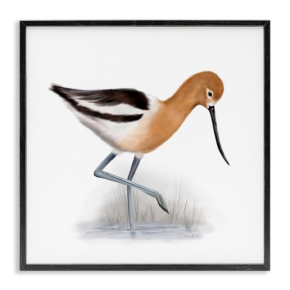 Stupell Industries Traditional Orange Feathered Avocet Wetland Bird Long Beak Black Framed Giclee Art, 17 x 17, by Studio Q