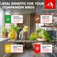 thumbnail image 6 of Morning Bird Spirulina Bird Food Natural Dried Algae 2 oz, 6 of 8