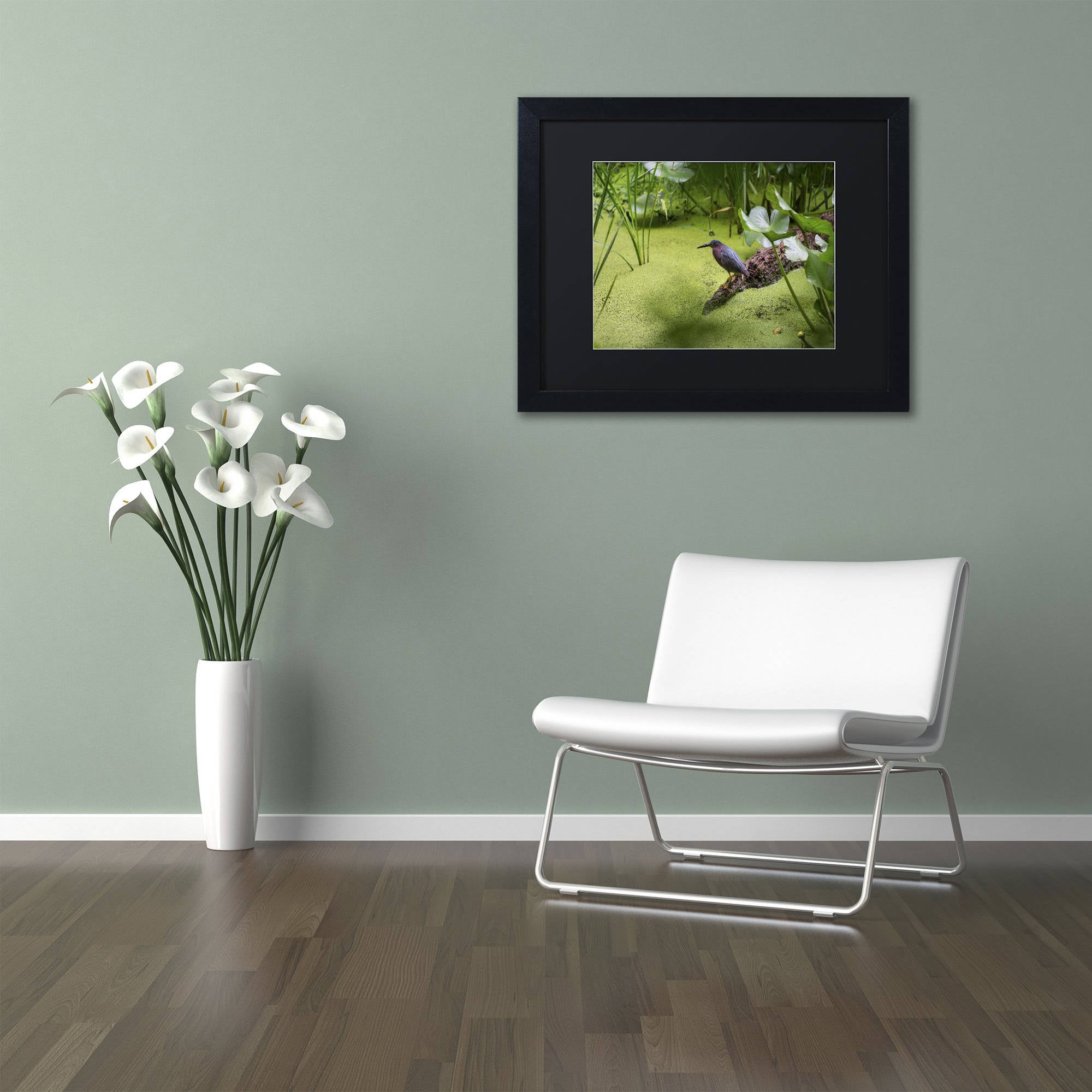 Trademark Fine Art "Green Heron" Canvas Art by Kurt Shaffer, Black Matte, Black Frame