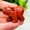 Red Jasper Quartz, variant on K-KED Natural Quartz Crystal Carved Polar Bear Gemstone Animal Healing Statue Ornament-Dragon Blood Stone
