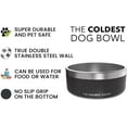 Coldest Dog Bowl Stainless Steel Non Slip Dog Bowls, Cats, Pet