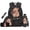 Black Capybara, variant on Jeiento Sunflower Backpack Set for 9-12 Years Old 5 Pcs Capybara 17 Inch Lightweight Bookbag with Insulated Lunch Bag Pencil Case for Elementary School Gift for Son
