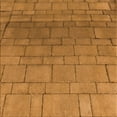 thumbnail image 1 of Ahgly Company Indoor Square Patterned Mahogany Brown Area Rugs, 8' Square, 1 of 6