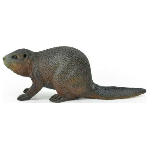 Beaver Toy, Realistic Museum Quality Rubber Castor Replica 3" CWG148 BB28 (1 PACK)