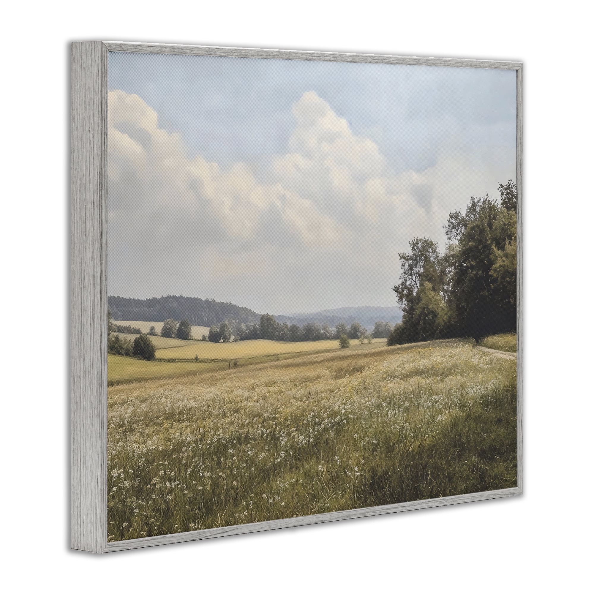 Stupell Industries Summer Landscape Cloudy Meadow Gray Framed Giclee Art, design by Franklyn Gregory