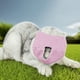 thumbnail image 4 of Belleza Para Gatos 2025 Nueva Cubierta Para La Boca Del Gato Malla Transpirable Para Gatos Herramientas De Belleza Reutilizables Para Gatos, 4 of 4