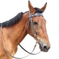 thumbnail image 5 of Y.J TAILS Leather Horse Bridle, Adjustable Western Browband Bridles for Horses with Bits and Detachable Leather Reins (L (Above 1.2 Meters), Black), 5 of 5