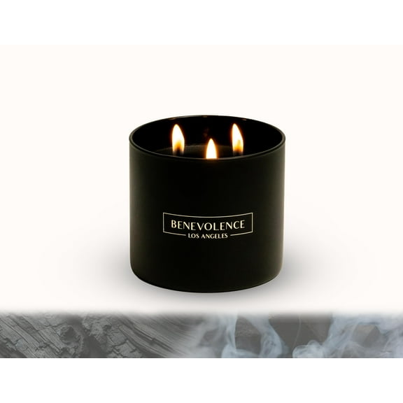 Benevolence LA Charcoal Candle Scented Candle | 14.5 oz Scented Candles for Home | Natural Soy Candles Gifts for Women, Aromatherapy Candle, Summer Candles