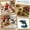 B, variant on 3D Beaded Animal and Vehicle Kit for Multi-Theme including Spiders and Vans, Versatile DIY Craft Set for Detailed Hobbyist Artistic Construction
