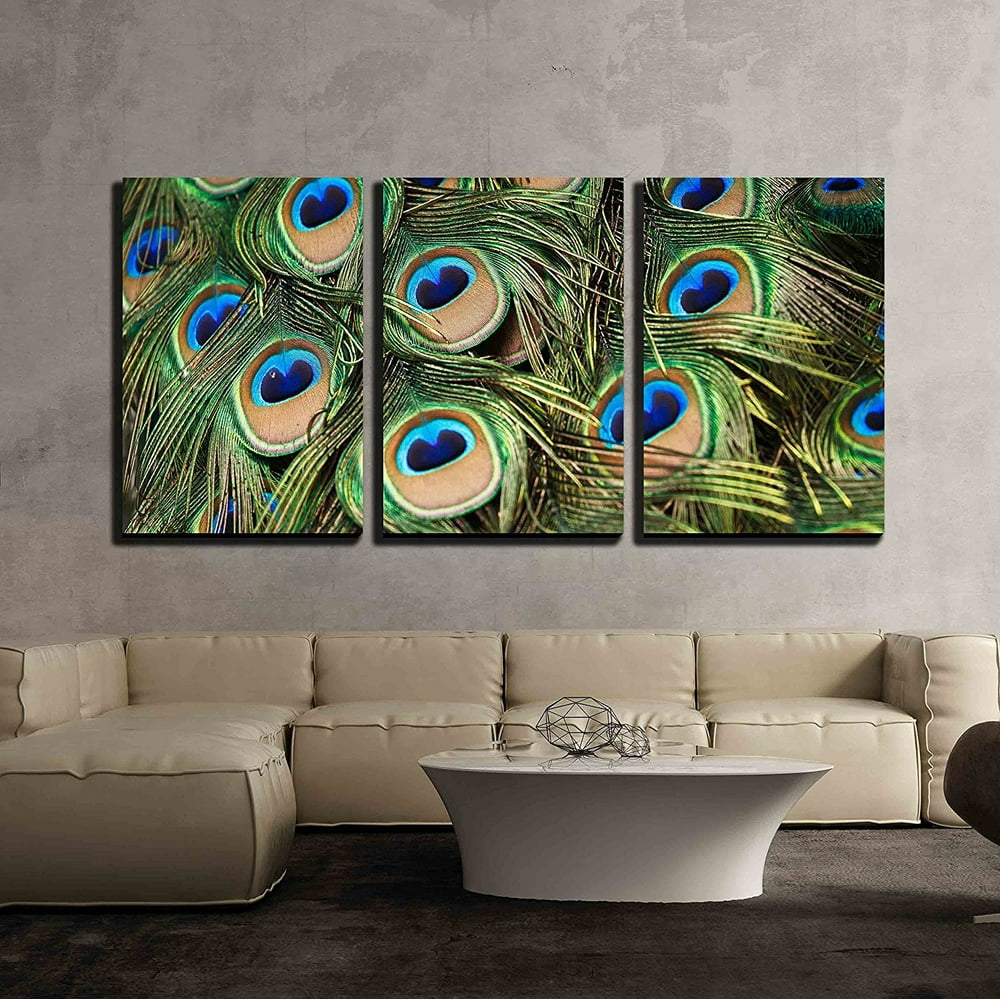 Wall26 3 Piece Canvas Wall Art - Beautiful Vivid Peacock Feathers ...