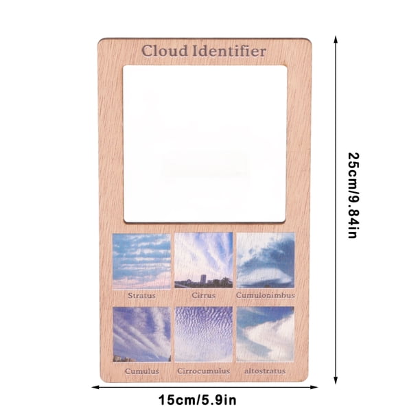 Garden Bird Identifier,Wooden Identifier Children's Learning Nature ...