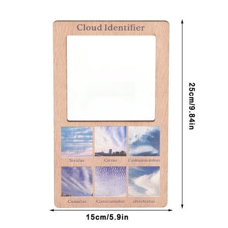 Garden Bird Identifier,Wooden Identifier Children's Learning Nature ...