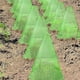 thumbnail image 4 of Inteprter 10 Uds ABS protección eficaz de las plantas con campanas de jardín adecuadas para todo tipo de plantas que ayudan al crecimiento Jardín y Patio, 4 of 6