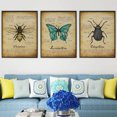 thumbnail image 4 of Pintura Insecto Impresión de Pared Naturaleza Impermeable Sin Agrhramed Art Owlet Animal Poster Decoración Dormitorio Sala de estar Baño 3 unids Inevent HA011003-00, 4 of 7