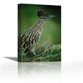 thumbnail image 1 of Greater Roadrunner portrait, native to arid southern United States - Contemporary Fine Art Giclee on Canvas Gallery Wrap - wall décor - Art painting - 24 x 36 Inch - Ready to Hang, 1 of 2