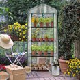 thumbnail image 6 of 4 Tier Mini Greenhouse with PVC Cover & Roll-Up Zipper Door, Portable Waterproof Greenhouse for Garden Backyard, 27" x 19" x 62", Transparent, 6 of 12