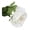 White, variant on bestolf Real Touch Artificial Rose Flower 24.8" Long Stem Fake Rose Flower Realistic Big Bloom Rose Bouquet for Wedding Party Floral Arrangement Home Kitchen Vase Decor