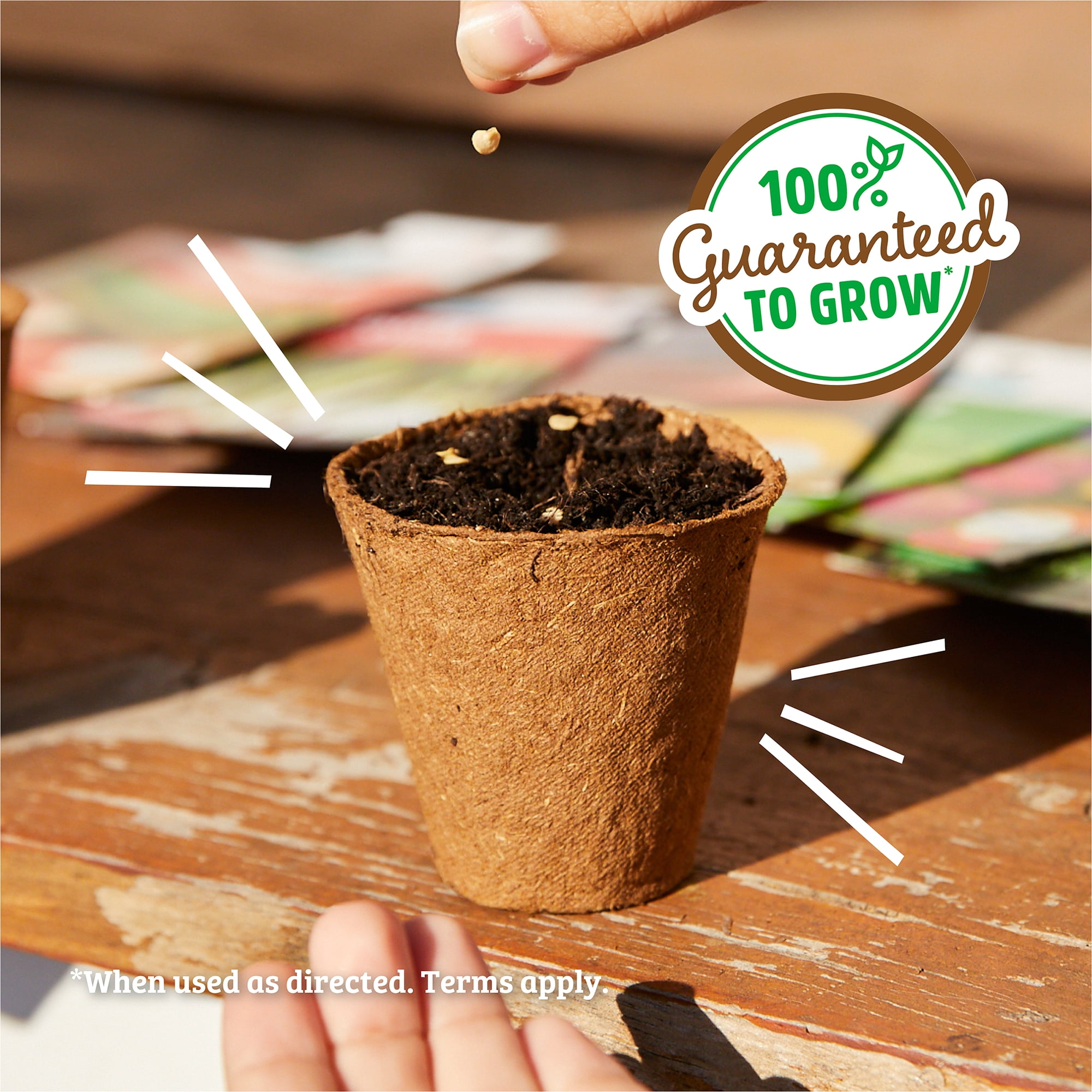 Back to the Roots Organic Poppy 'California', 1 Seed packet