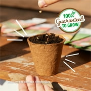 Back to the Roots Organic Wildflower Mix, 1 Seed packet