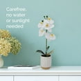 thumbnail image 2 of Home Accents 16-inch Artificial Real Touch Phalaenopsis Orchid in Cream Glaze Ceramic Pot, Yellow, 2 of 7
