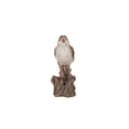 thumbnail image 2 of Hi-Line Gifts 6.25" Motion Activated Singing Nightingale Standing on Stump Outdoor Garden Statue, 2 of 8