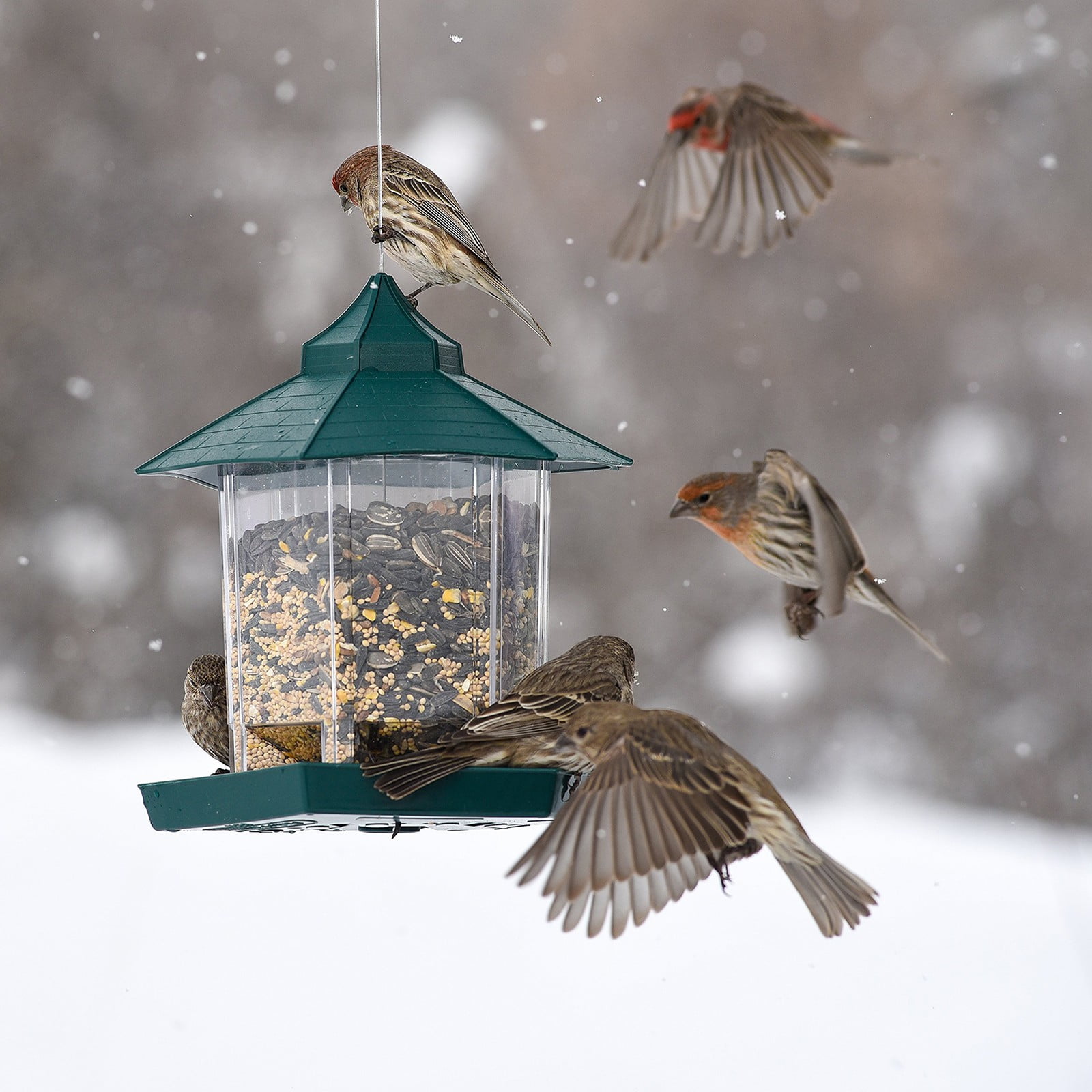 Bird Feeder for Outside Hanging,Bird Seed for Outside Wild Bird Feeders for Garden Yard Outdoor Decoration,Round Roof Design for Sun-Proof and Rainproof, Green