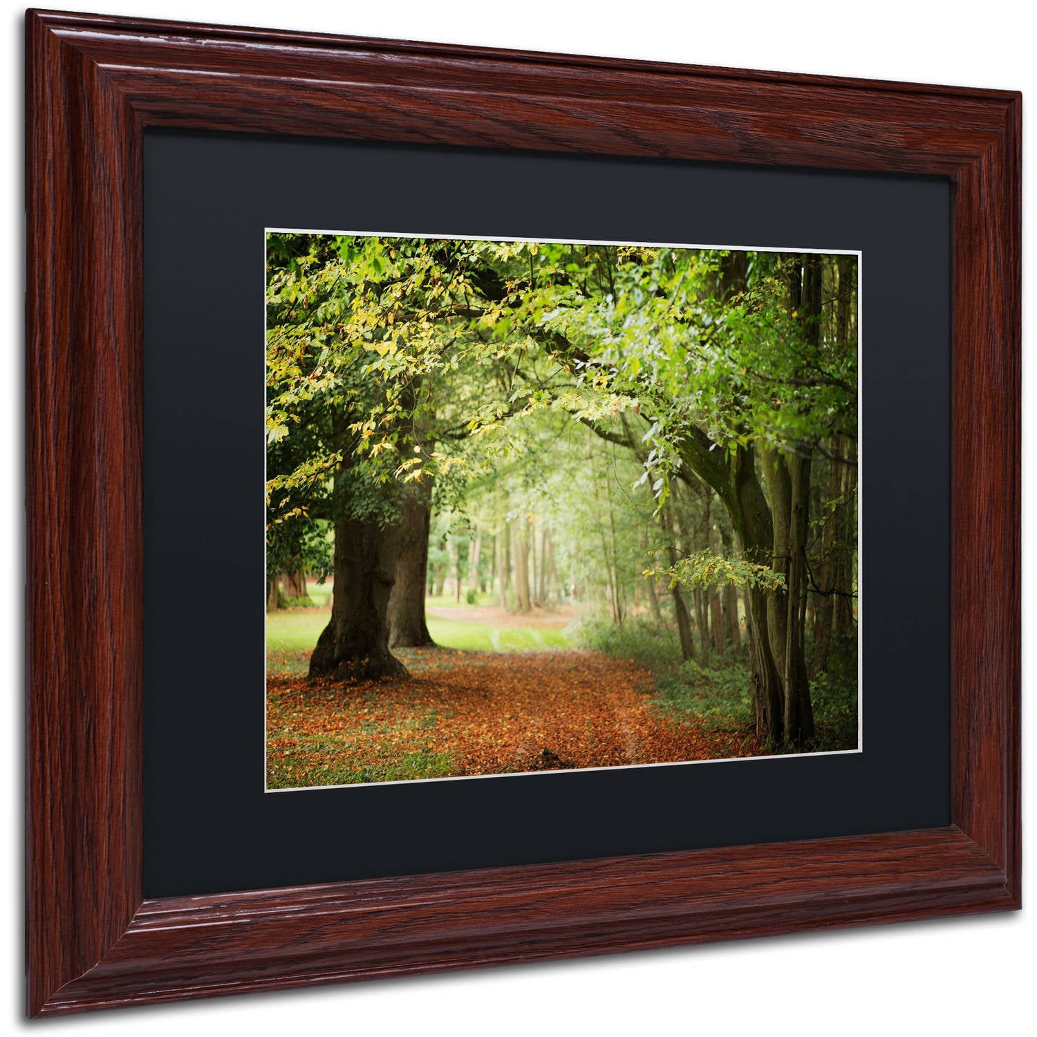 Trademark Fine Art "Through the Woods" Canvas Art by Philippe Sainte-Laudy Black Matte, Wood Frame