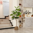 thumbnail image 5 of Artificial Rubber Tree, 5 ft Fake Plastic Ficus Plant, Pre Potted Faux Greenry Plants for Home Decor Office House Living Room Indoor Outdoor, House Decorations for Living Room, Big Fake Plants, 5 of 10