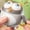 KH.Khaki, variant on Remote Control Crawling Owl Beetle Toy - Interactive Walking Insect Robot with Rocking Motion, Encourages Toddler Crawling & Active Play, Gift for Kids Ages 3 Black