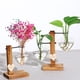 thumbnail image 3 of Florero hidropónico Matsuzay Clear Heart Glass Planter Single Type2 NO2, 3 of 6