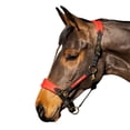 thumbnail image 2 of Whitaker Collier de Tête Cheval Harewood, 2 of 3