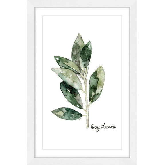 Marmont Hill "Herb Bay Leaves" by Rachel Byler Framed Painting Print