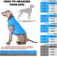 thumbnail image 3 of AiryVest Lightweight Reversible Winter Dog Coat - Warm Dog Jacket - Water Resistant Windproof - Insulated Dog Apparel for Small, Medium & Large Dogs - Comfortable Dog Puffer Vest - Black/Light Blue, 3 of 5