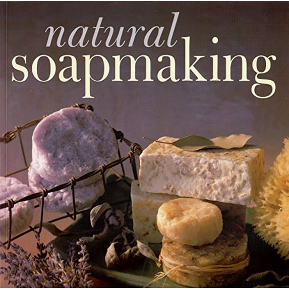 Pre-Owned Natural Soapmaking (Paperback) 0806962895 9780806962894
