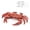 Multicolor Size C O9, variant on Simulation Crab Figurine, TOUMENY Realistic Multicolor PVC Sea Animal Toys, Educational Small Animals Model for Kids Party Gift Birthday Decoration