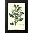 thumbnail image 2 of Weddell 17x24 Black Modern Framed Museum Art Print Titled - Woodland Foliage III, 2 of 5