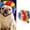 Multicolor, variant on Pet Wig, Funny Cosplay Hairpiece for Medium Large Dogs Cats, Party Festival Dress Up Accessory, Adjustable Elastic Band, Lightweight Comfortable, Pet Costume Wig