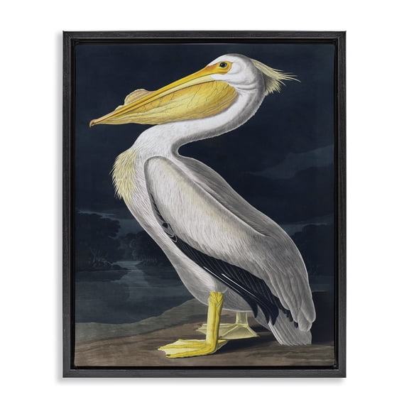 Stupell Industries Rustic Lodge Pelican on Night Shore Black Floating Frame Canvas Art, 17 x 21, by Incado
