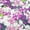 Purple, variant on Allegra K Women's Ruffled Collar Long Sleeve Elastic Waist Ruffle Hem Floral Dress
