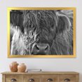 thumbnail image 3 of Designart 'Close Up Scottish Highland Cows Living On Moorland' Farmhouse Framed Art Print, 3 of 4