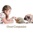 thumbnail image 4 of Peluche para perros, juguete masticable para perros con piel sintética super suave, adiestramiento para mordidas, juguetes con chirridos, peluches para perros medianos y grandes, color marrón., 4 of 5