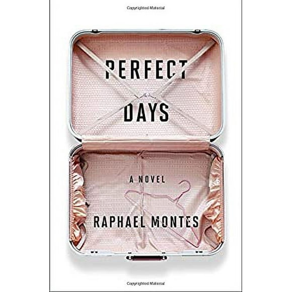 Perfect Days : A Novel 9781594206405 Used / Pre-owned