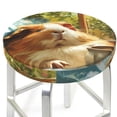 thumbnail image 3 of Balery Lazy Home Style Guinea Pig Fundas de asiento para taburete de bar redondo de tela de terciopelo ajustables que protegen de arañazos y manchas para sillas de 14 a 17 pulgadas.-13 inch, 3 of 7