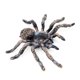 thumbnail image 1 of 3 uds 9,5 cm grande falso realista araña insecto modelo juguete divertido Halloween aterrador Prop Banban, 1 of 2