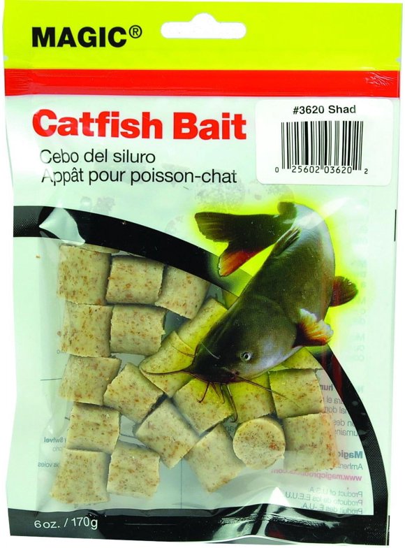 Live Bait in Fishing Baits