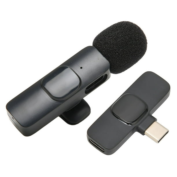 Rdeghly Microphone sans fil professionnel, microphone portatif